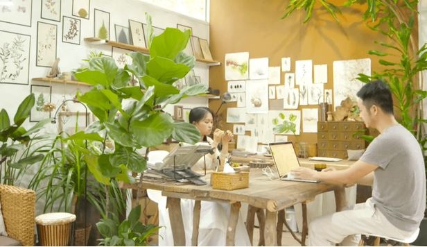 Vợ chồng thuê đất ở nơi như ốc đảo, sống ẩn dật giữa rừng cây - 7 Vợ chồng thuê đất ở nơi như ốc đảo, sống ẩn dật giữa rừng cây - 7