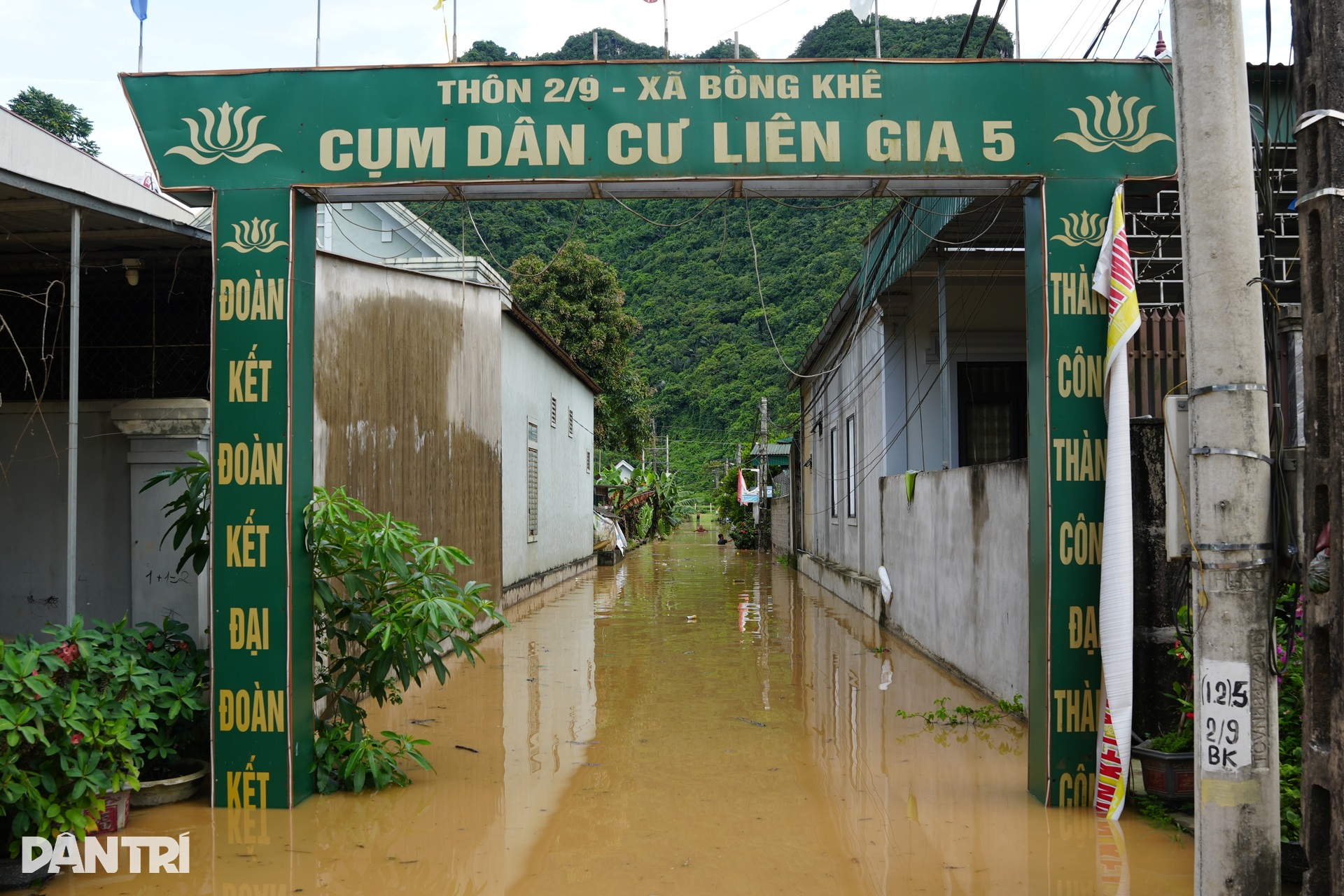 Lũ dâng chưa từng có, người dân lùa gia súc lên quốc lộ sơ tán - 4 Lũ dâng chưa từng có, người dân lùa gia súc lên quốc lộ sơ tán - 4