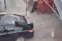 Tình huống cảnh báo cho tài xế và cha mẹ khi có trẻ con chơi gần ô tô