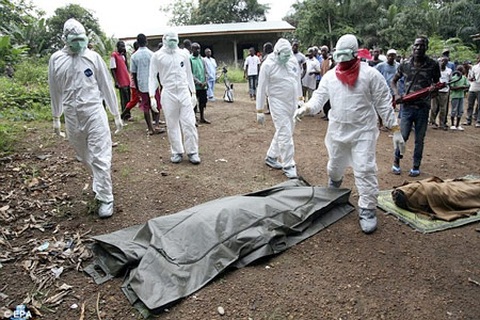 Vì sao xảy ra đại dịch Ebola?