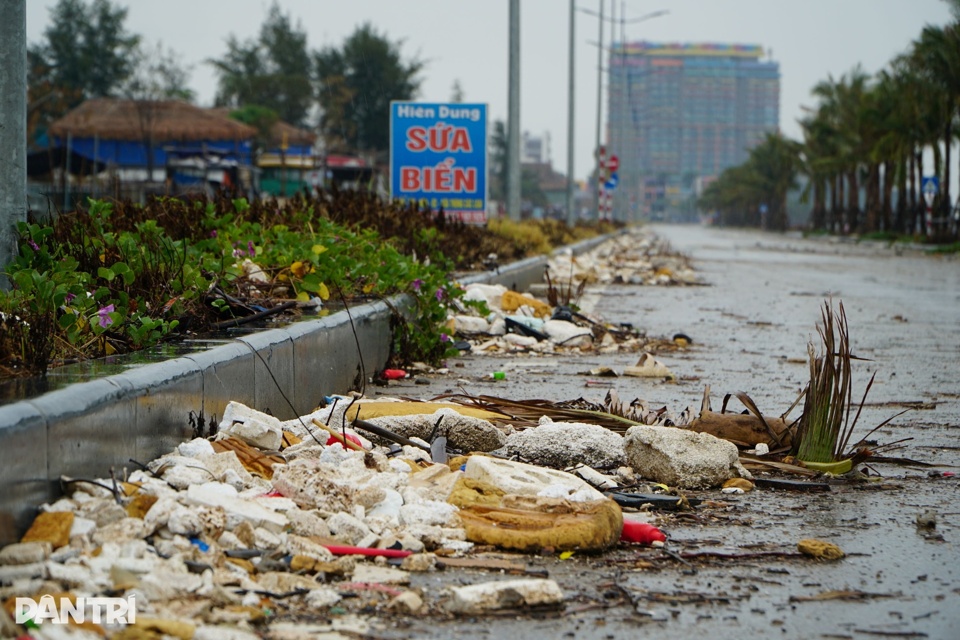 Bờ biển Hải Tiến như bãi chông sau bão Bualoi - 9 Bờ biển Hải Tiến như bãi chông sau bão Bualoi - 9