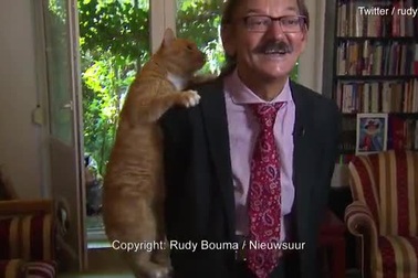 Hài hước cuộc phỏng vấn bị xen ngang vì một chú mèo