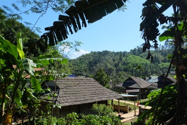 Độc đáo ngôi làng người Thái cổ nằm lọt thỏm giữa rừng ở Nghệ An