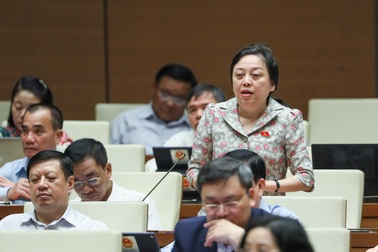 Đại biểu: Giá đấu thầu thuốc ngày càng thấp và không bảo đảm được chất lượng