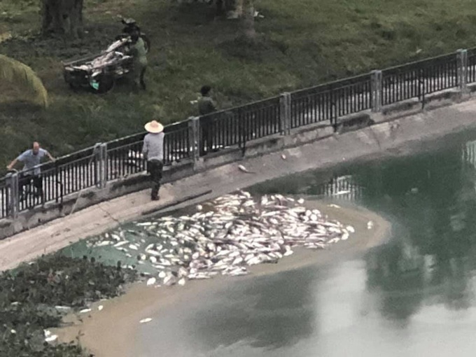 Hình ảnh người dân ghi nhận vào sáng cùng ngày khi các công nhân đang thu gom cá chết nổi lên mặt nước Hình ảnh người dân ghi nhận vào sáng cùng ngày khi các công nhân đang thu gom cá chết nổi lên mặt nước