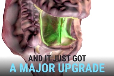 Cơ quan mới của cơ thể con người quan trọng như thế nào?