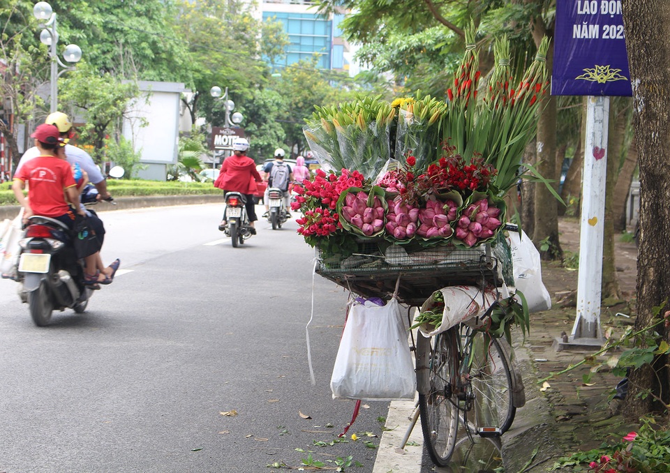 Hà Nội: Hoa sen xuống phố, thơm ngát cả vùng trời! - 1 Hà Nội: Hoa sen xuống phố, thơm ngát cả vùng trời! - 1
