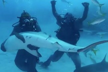 Mike Tyson sợ hết hồn khi “chiến đấu” với cá mập trắng