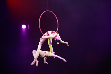 Hiệu trưởng trường Xiếc vui mừng vì đã tuyển được học sinh thành phố