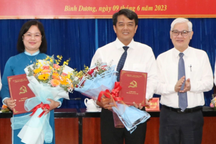Bình Dương điều động, bổ nhiệm nhiều cán bộ quan trọng của tỉnh