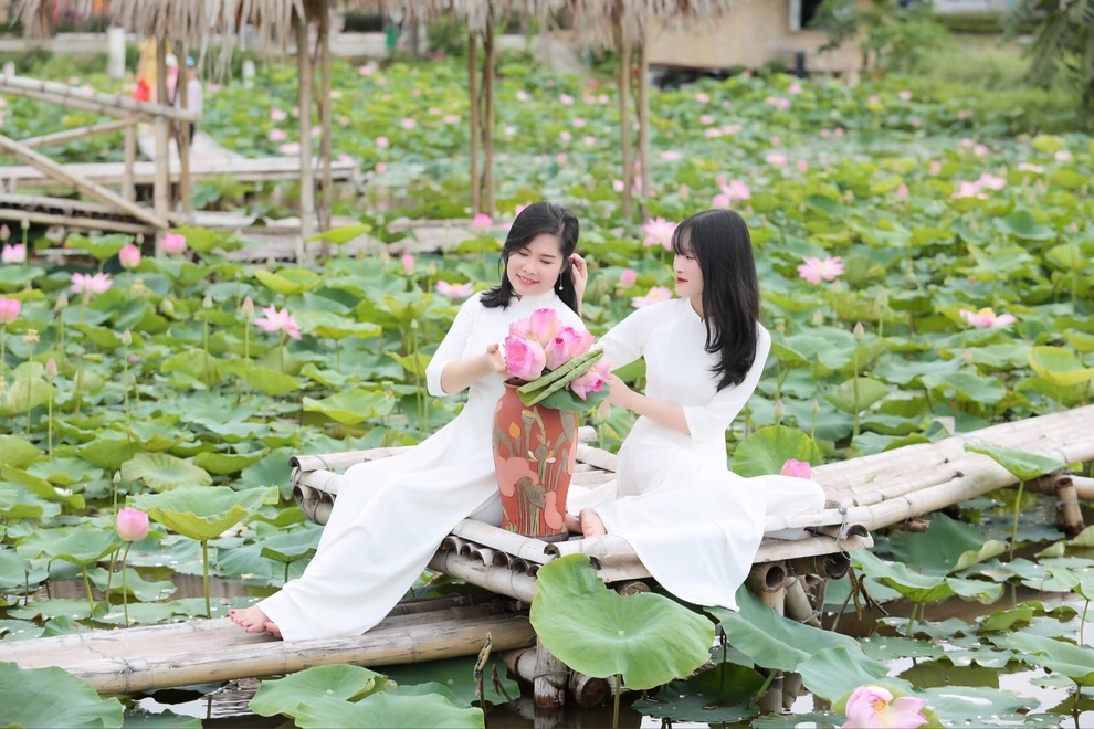 Ướp trà vào sen Nhật thu tiền triệu - 1 Ướp trà vào sen Nhật thu tiền triệu - 1