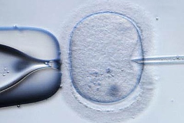 Top 5 sự kiện y học thế giới 2010