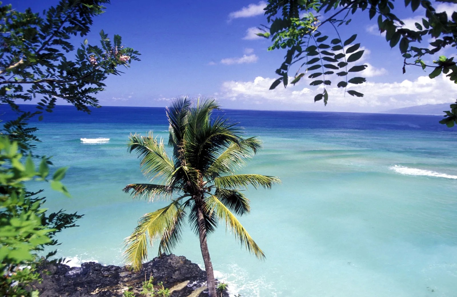 Chuyện ít biết về quần đảo Comoros, vựa tinh dầu khổng lồ của thế giới - 4 Chuyện ít biết về quần đảo Comoros, vựa tinh dầu khổng lồ của thế giới - 4