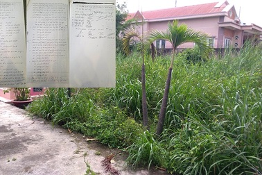 Tranh chấp đất thừa kế, người mua “lãnh đủ”!