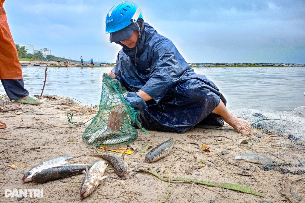 Ra biển bắt cá… nước ngọt, độc chiêu ăn tiền sau mưa lớn - 1 Ra biển bắt cá… nước ngọt, độc chiêu ăn tiền sau mưa lớn - 1