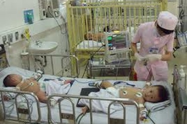 Thêm hai ca tử vong, thành phố ra quân kiểm tra dịch bệnh