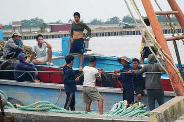 Ngư dân Nam Định chằng buộc tàu thuyền, đan lưới chờ bão Talim đi qua