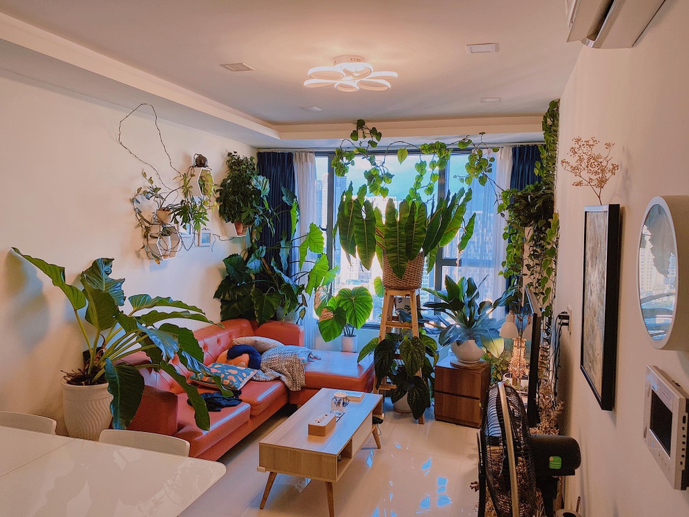 Rừng cây thu nhỏ trong ngôi nhà ngập tràn sắc xanh của chàng trai Sài Gòn - 5 Rừng cây thu nhỏ trong ngôi nhà ngập tràn sắc xanh của chàng trai Sài Gòn - 5