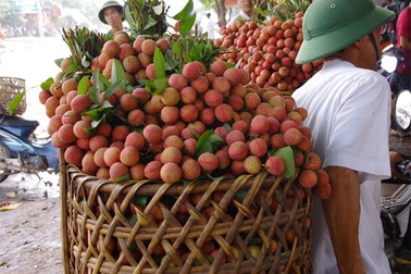 Bộ Công Thương: Không có chuyện vải thiều rớt giá, “dội chợ”