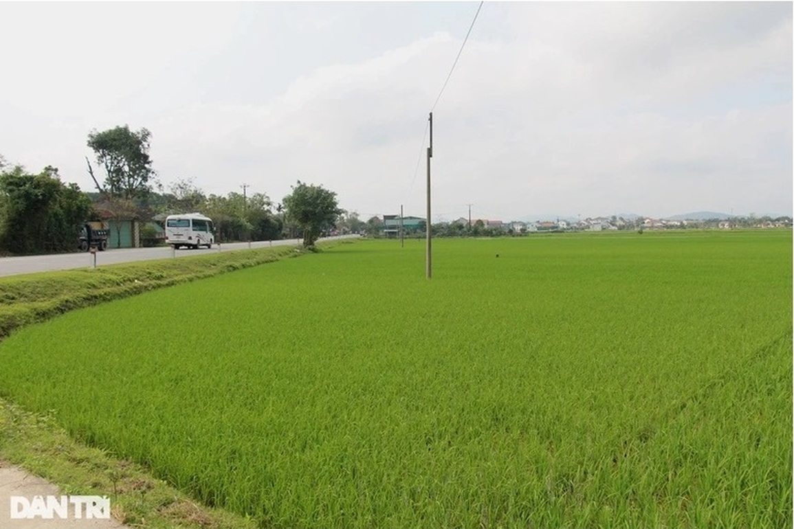 3 tỷ đồng không mua nổi lô đất ở quê: Dừng đấu giá để làm hạ tầng - 1 3 tỷ đồng không mua nổi lô đất ở quê: Dừng đấu giá để làm hạ tầng - 1