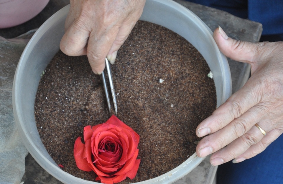 Khởi nghiệp 50 tuổi, nữ giúp việc trở thành chủ cơ sở hoa bất tử - 2 Khởi nghiệp 50 tuổi, nữ giúp việc trở thành chủ cơ sở hoa bất tử - 2