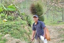 Quảng Ngãi: Lên non hái "lộc" của rừng