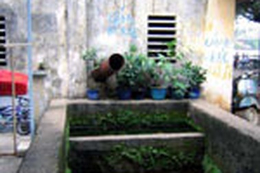 Thay 14 tỷ đồng bằng... 200 triệu đồng 