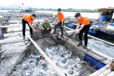 Khi mỗi giao dịch tài chính cũng phản ánh lối sống xanh
