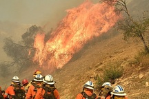 Số người mất tích trong vụ cháy rừng thảm khốc ở California tăng vọt