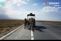 Cặp vợ chồng chi tiền tỷ cưỡi ngựa ngao du như phim kiếm hiệp