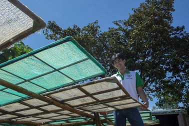 Kỹ sư công nghệ thông tin bỏ doanh nghiệp về quê... bán phở sắn