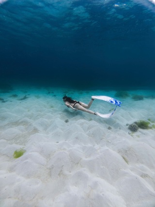 Không cần đi Maldives, khách đổ dồn về Phú Quý lặn biển vì đẹp siêu thực - 7