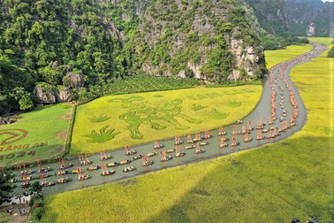 Hàng vạn người đổ về Ninh Bình ngắm cánh đồng lúa đẹp nhất Việt Nam