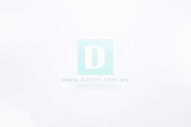 Về làng Bắc Bình nghe tiếng sáo diều "khủng"