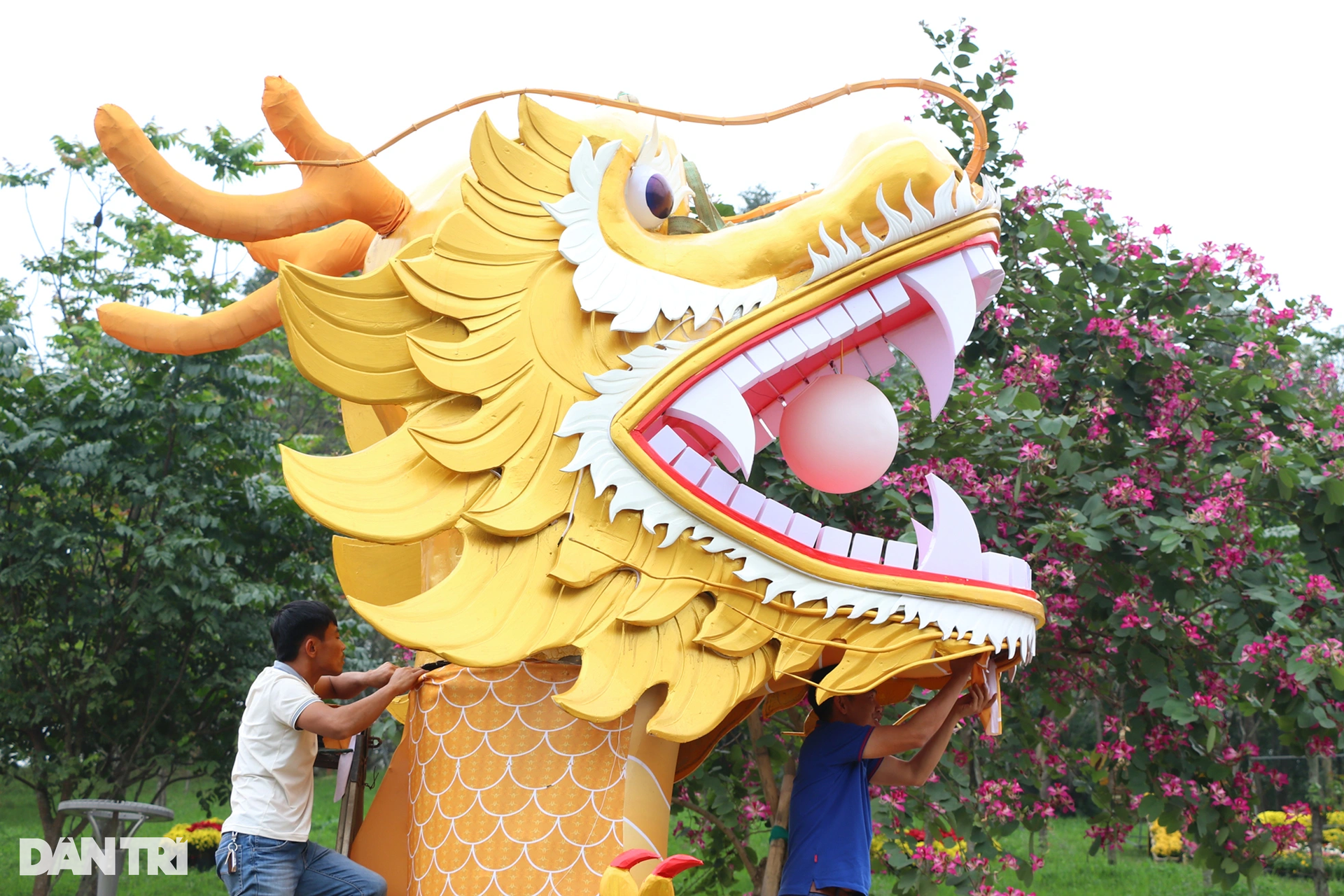 Linh vật rồng Nghệ An vừa trình làng, nhận vô số lời khen - 9 Linh vật rồng Nghệ An vừa trình làng, nhận vô số lời khen - 9