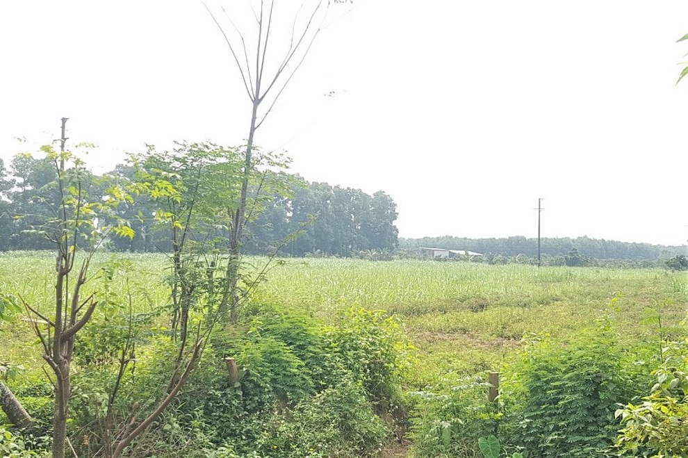 Hai dự án treo 16 năm, Ninh Bình gửi văn bản đòi lại đất - 1 Hai dự án treo 16 năm, Ninh Bình gửi văn bản đòi lại đất - 1