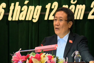 Quảng Trị tiêu hủy đàn lợn gần 50.000 con do dịch tả châu Phi