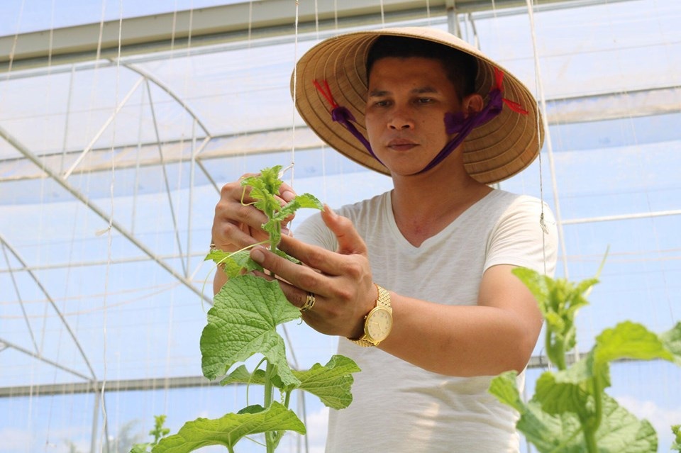 Hà Tĩnh: Thanh niên 8X bỏ túi nửa tỷ đồng một năm từ nghề trồng dưa - 1 Hà Tĩnh: Thanh niên 8X bỏ túi nửa tỷ đồng một năm từ nghề trồng dưa - 1