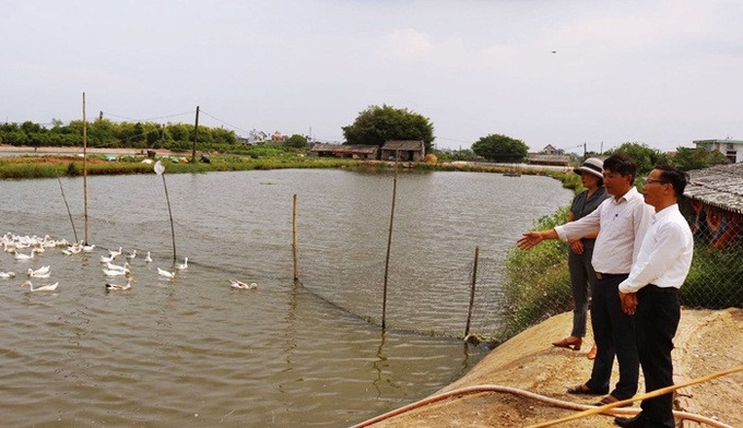 Nam Định: Triển khai hiệu quả dự án hỗ trợ sản xuất, đa dạng hóa sinh kế góp phần giảm nghèo bền vững