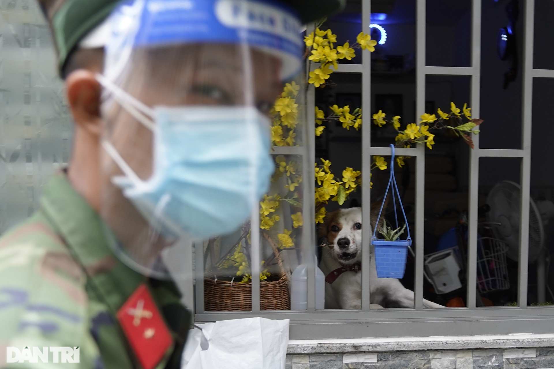 Dịch bệnh nguy hiểm, hẻm nhỏ chằng chịt không làm nản chí bộ đội giúp dân - 8 Dịch bệnh nguy hiểm, hẻm nhỏ chằng chịt không làm nản chí bộ đội giúp dân - 8