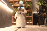 Quán cà phê có dàn "nhân viên" là robot ở Nhật Bản