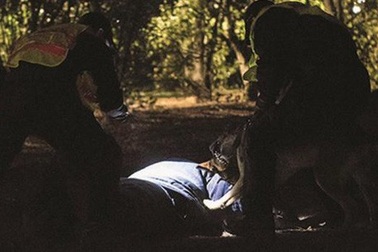 Cuộc diễn tập chưa từng có của Mật vụ Mỹ