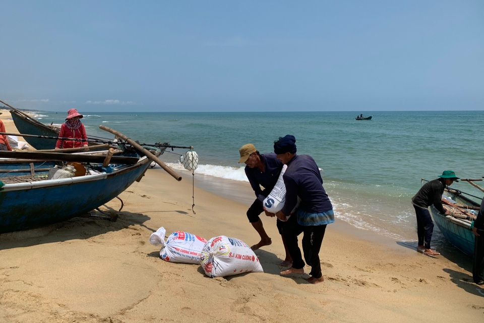 Bắt loài ốc óng ánh, ngư dân bỏ túi tiền triệu mỗi ngày - 5 Bắt loài ốc óng ánh, ngư dân bỏ túi tiền triệu mỗi ngày - 5
