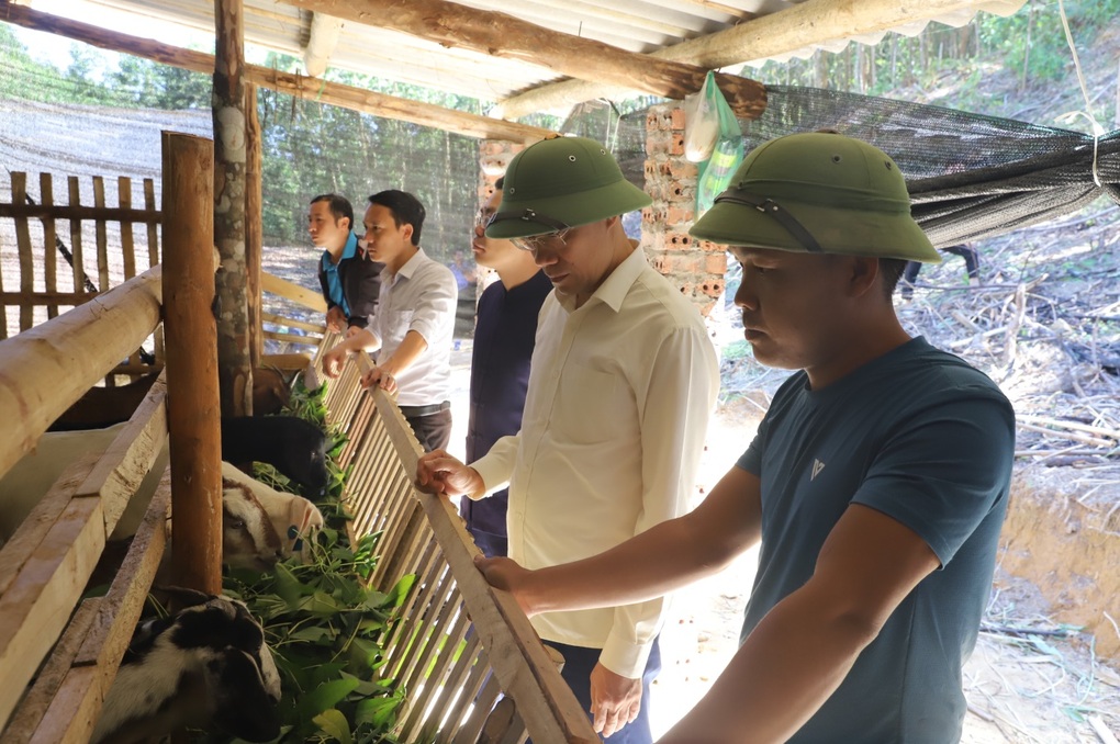 Đổi thay ở vùng cao Bình Liêu Quảng Ninh - 2 Đổi thay ở vùng cao Bình Liêu Quảng Ninh - 2