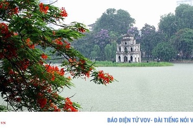 Hoa phượng thắp lửa bên Hồ Gươm