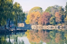 Chiêm ngưỡng ngôi trường Đại học xếp top 2 châu Á, đẹp như tranh thủy mặc