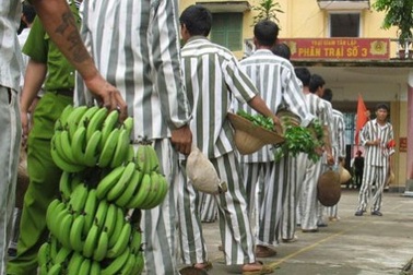 Vừa mãn hạn tù, chém 2 người thương vong