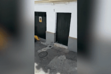 Bò nổi điên, đuổi theo và húc chết du khách ngay trong ngày hội