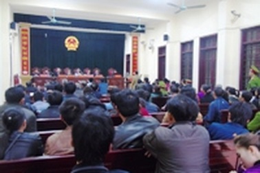 Xét xử vụ án “cướp gỗ huê” chấn động tại VQG Phong Nha - Kẻ Bàng