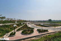 Bất động sản "xì hơi", huyện ngoài trung tâm Hà Nội vẫn ồ ạt đấu giá đất